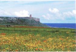 Torre Sant'Emiliano, sulla litoranea Otranto-Leuca
